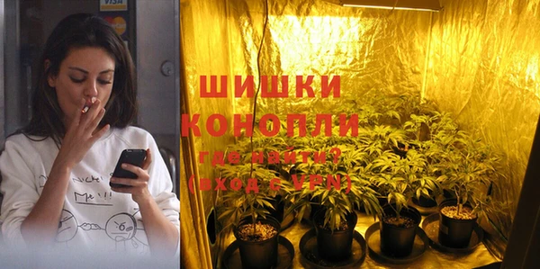 хмурый Няндома