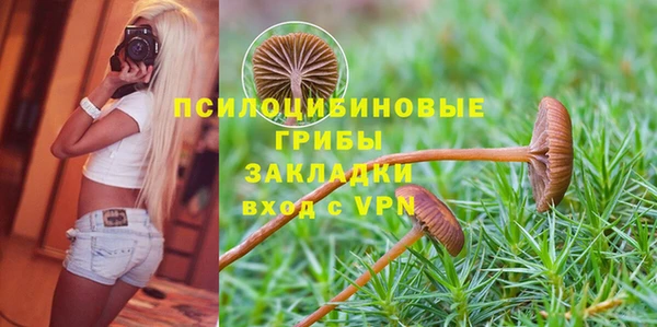 герыч Новокубанск