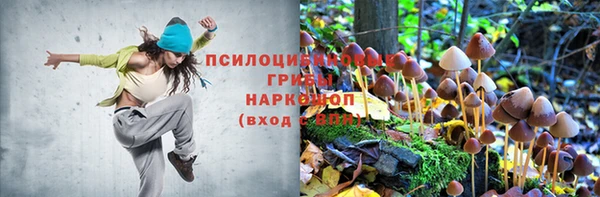 мяу мяу кристалл Мегион