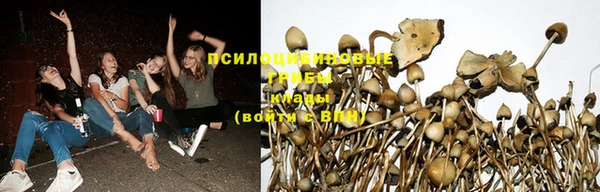 спайс Нязепетровск