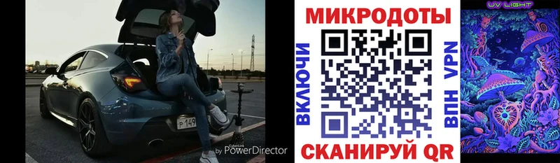 Псилоцибиновые грибы Psilocybe Нальчик