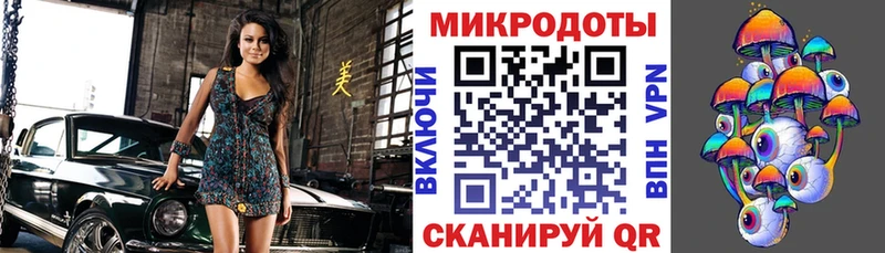 что такое   Нальчик  hydra зеркало  Псилоцибиновые грибы Psilocybe 